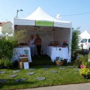 ADPED - JARDINIER AMATEUR 2014