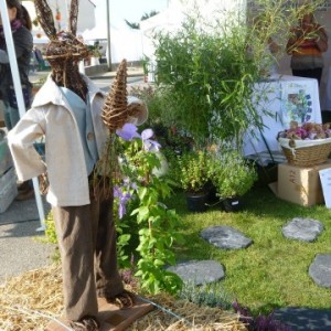 ADPED - JARDINIER AMATEUR 2014