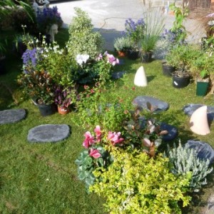 ADPED - JARDINIER AMATEUR 2014