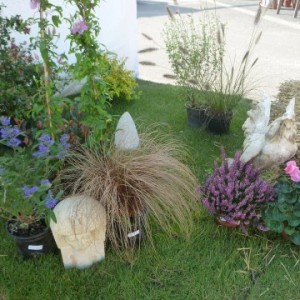 ADPED - JARDINIER AMATEUR 2014