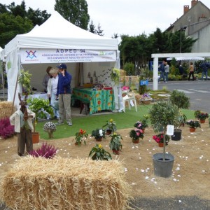 ADPED – Jardinier Amateur ADPED - Jardinier Amateur (12/09/2015)