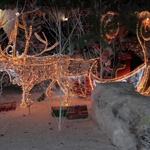 ADPED – Marché de Noël de L’Haÿ-les-Roses (29/11/2015) ADPED - Marché de Noël de L'Haÿ-les-Roses (29/11/2015)