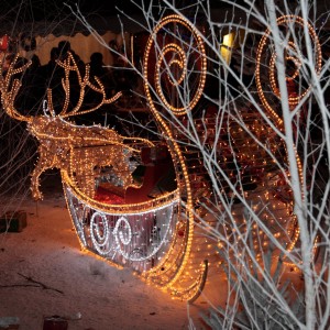 ADPED – Marché de Noël de L’Haÿ-les-Roses (29/11/2015) ADPED - Marché de Noël de L'Haÿ-les-Roses (29/11/2015)