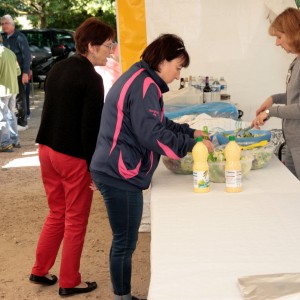 ADPED - Concours de boules 2016