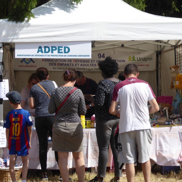 ADPED - Fête de l'été 2017 à Chevilly-Larue
