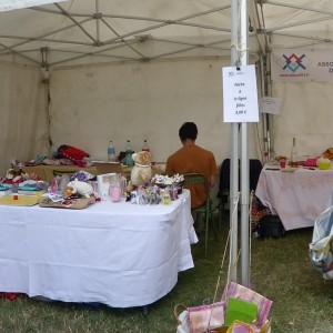 ADPED - Fête de l'été 2017 à Fresnes