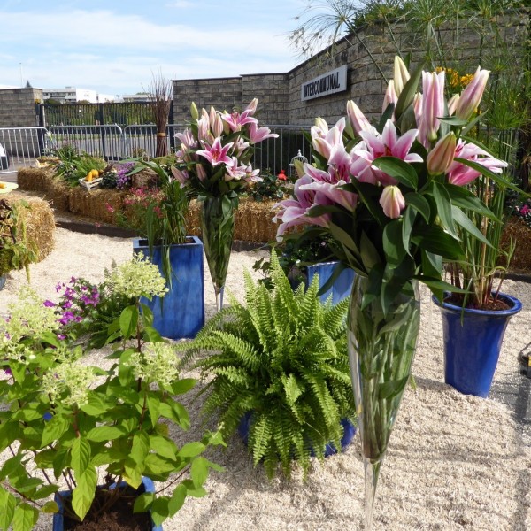 ADPED - Marché campagnard 2017 à Chevilly-Larue