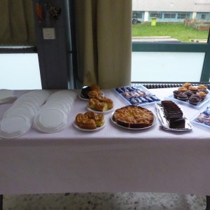 ADPED - Après-midi dansant à Chevilly-Larue (25/11/2017)
