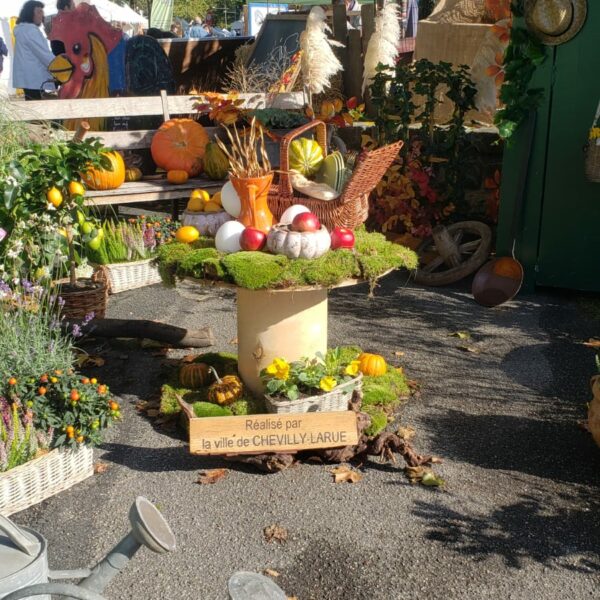 IMG-20240930-WA0003